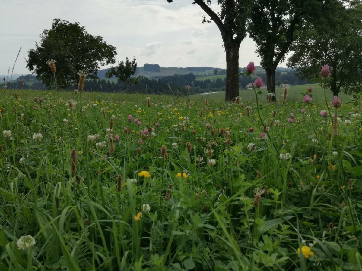 Jenny Villa Lembach im Mühlkreis Kültér fotó